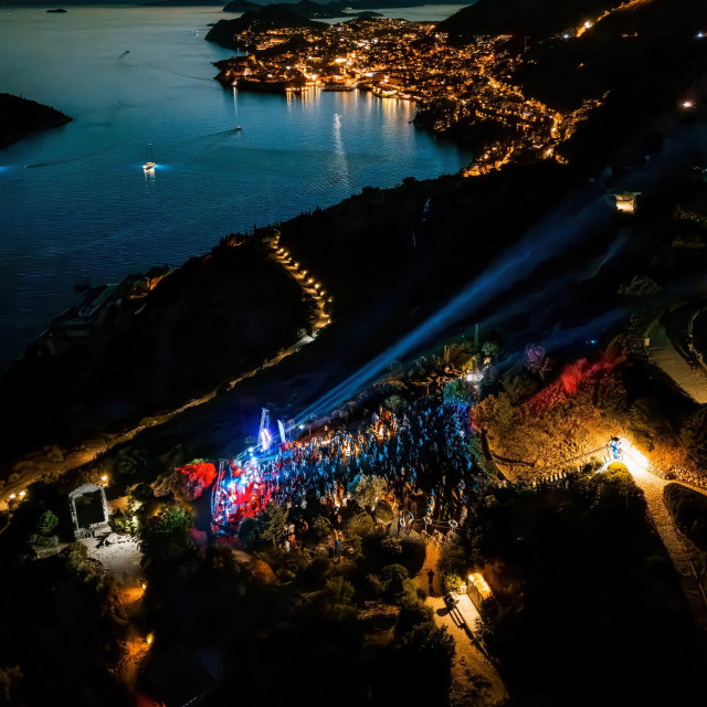 Sonic festival