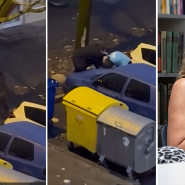 Screenshot napada, Anđa Marić
