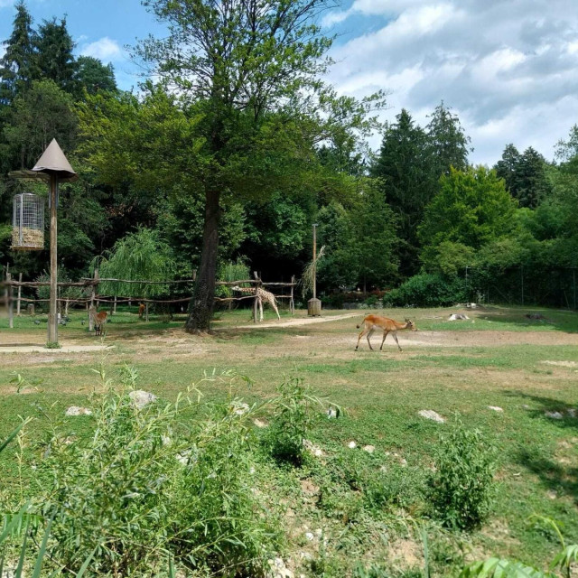 Veliko dvorište u kojem boravi 