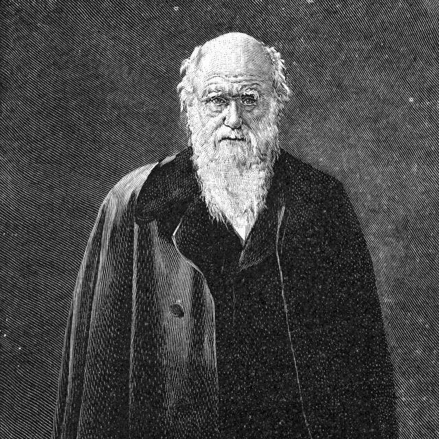 Charles Robert Darwin