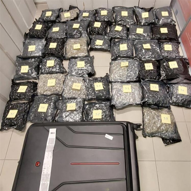 Marihuana zaplijenjena u Zračnoj luci Franjo Tuđman u Zagrebu
