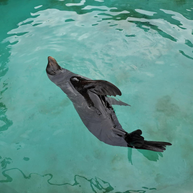 ZOO Zagreb