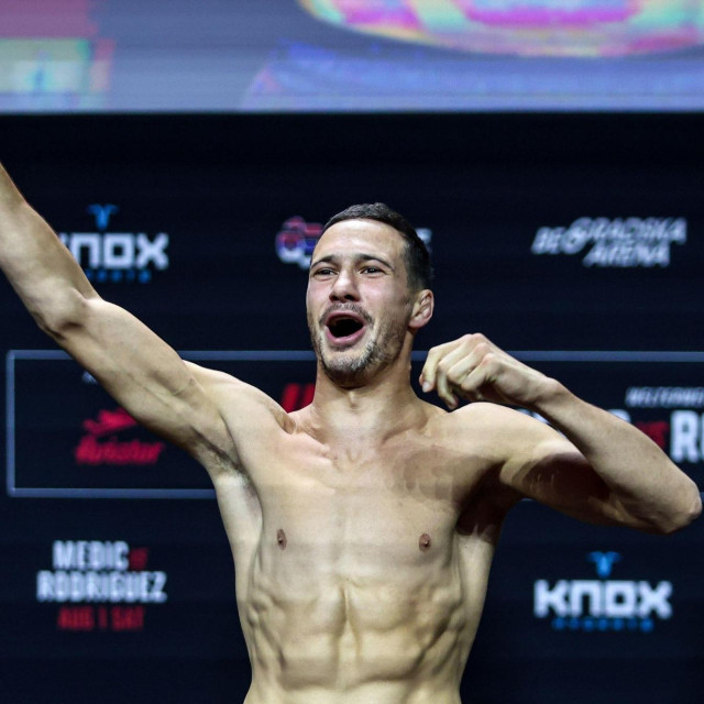 Borislav Nikolić