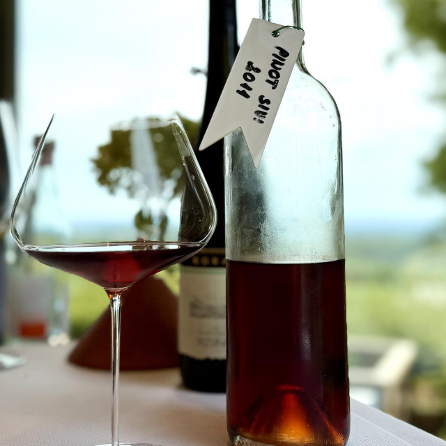 Pinot sivi 2011
