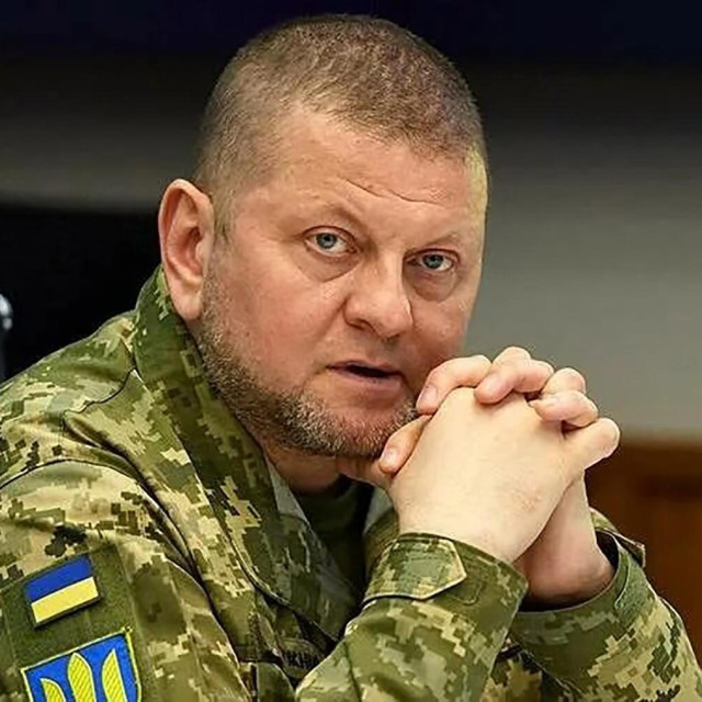 Valerij Zalužni