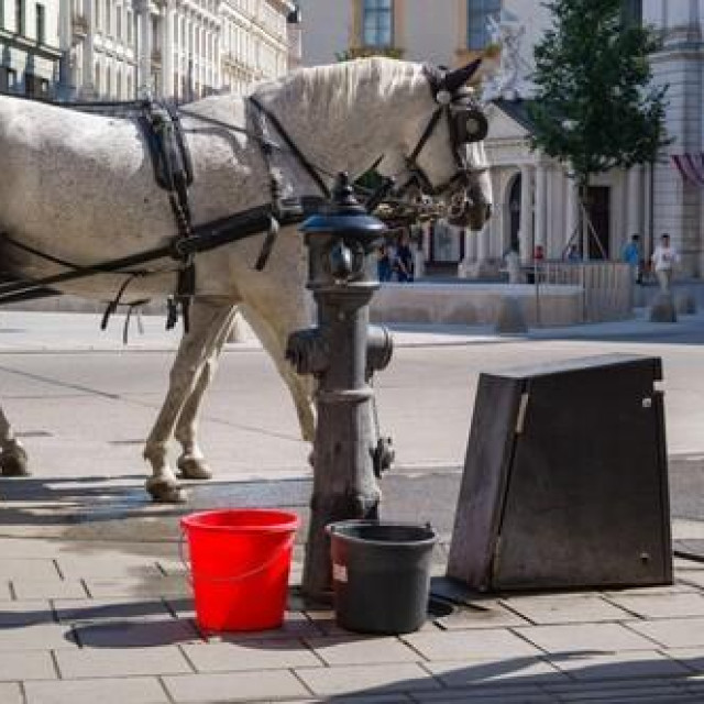 Ilustrativna fotografija