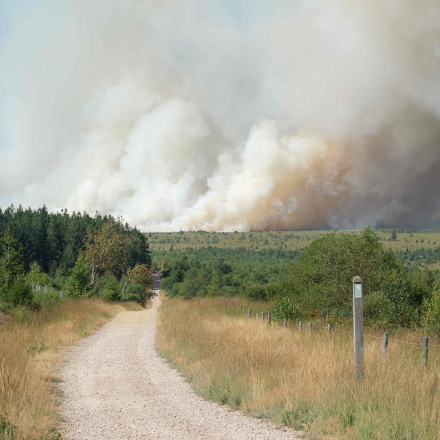požar u Hautes Fagnes