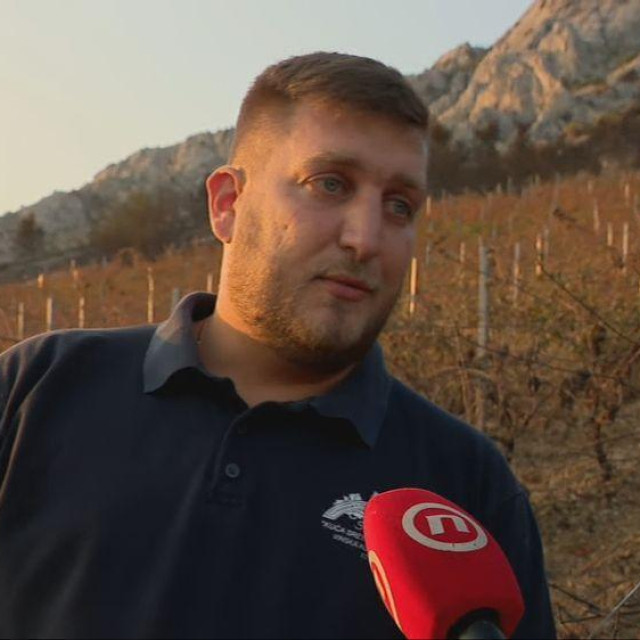 Marko Mimica
