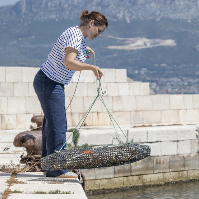 Specijal Like
Split, 260526
Daria Ezgeta Balic, voditeljica projekta Perspektiva obnove Europske plosnate kamenice u Jadranskom moru - POPOyster pri Instituutu za oceanografiju i ribarstvo u Splitu.
Na fotografiji: Daria Ezgeta Balic sa kamenicama za provedbu eksperimenta ishrane