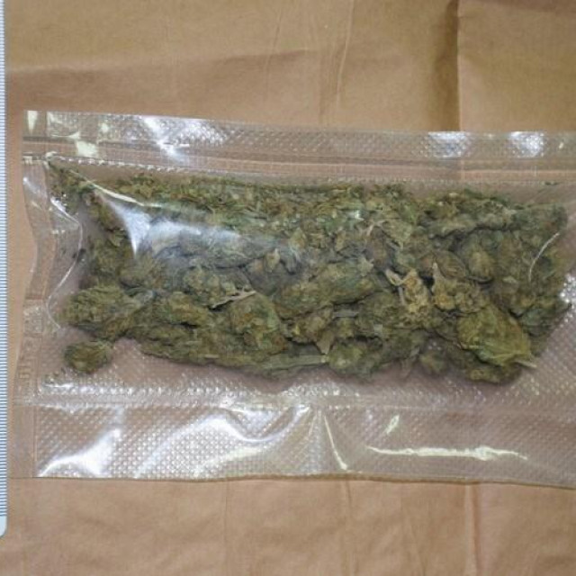 zaplijenjena droga