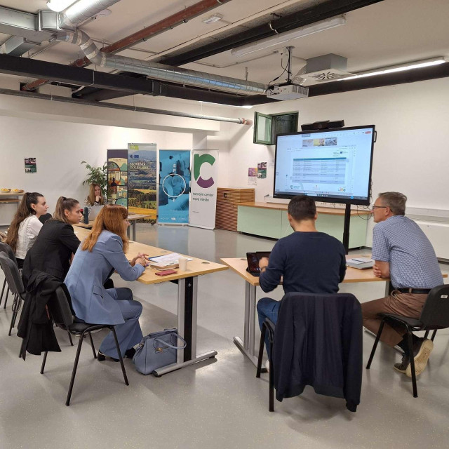 Radna grupa na projektu IMPACTful u Sloveniji