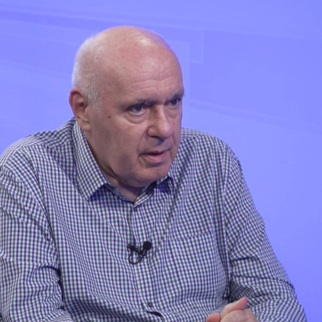 Žarko Puhovski