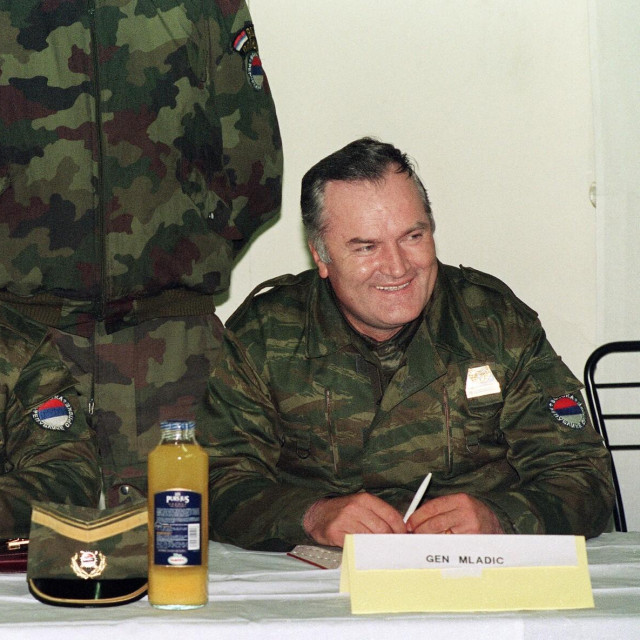 Milan Gvero, Ratko Mladić (Sarajevo, 1993.)