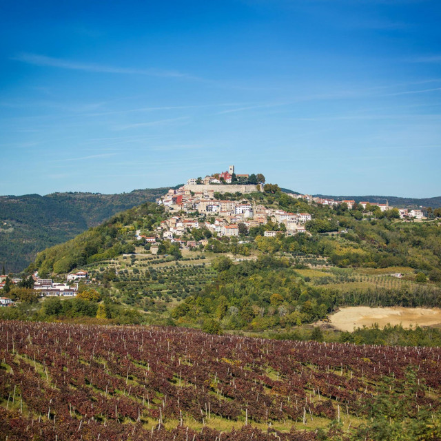 Motovun, 241015. 6. izdanje TeTe, festivala terana i tartufa privuklo je danas veliki broj gostiju na motovunsko brdo. Uz prigodnu degustaciju vina koje se moglo kusati iz degustacijske case koja je kostala 40 kuna, te gastro ponudu jela sa tartufima, dodijeljene su nagrade za najbolji teran i najtezi tartuf koji je bio tezak cak 840 grama. Na fotografiji: Motovun.
