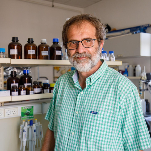 prof. dr. sc. Branimir Hackenberger Kutuzović