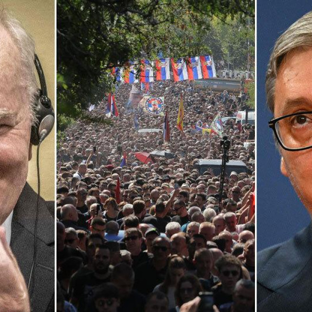 Pogrev Ratka Mladića, Aleksandar Vučić