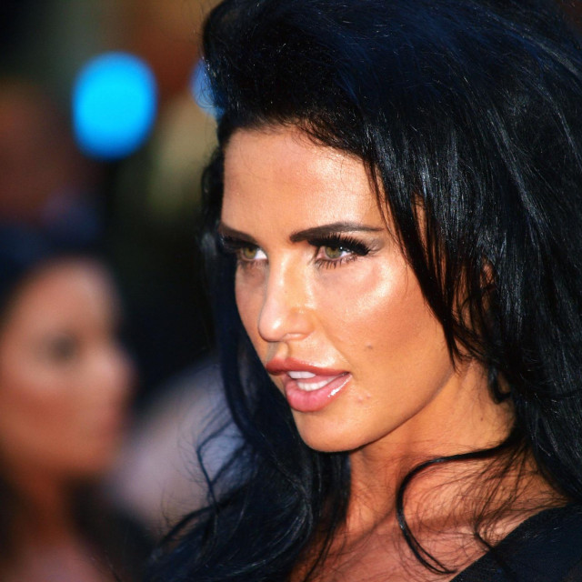 Katie Price 2010. godine 