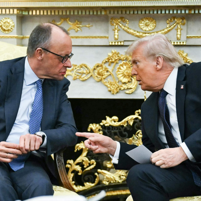 Friedrich Merz i Donald Trump