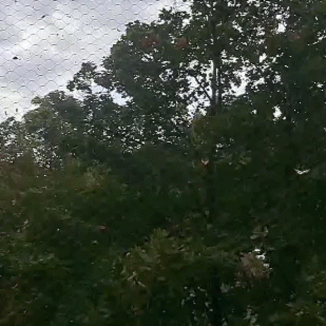 Orkanski vjetar u Novom Zagrebu