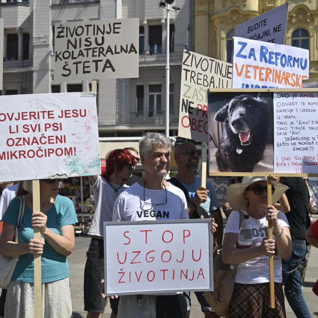 Udruga Prijatelji životinja