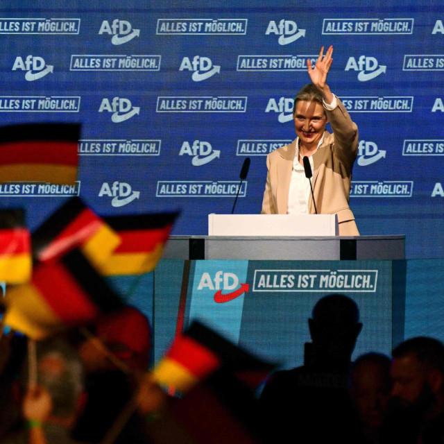 Alice Weidel (AfD)