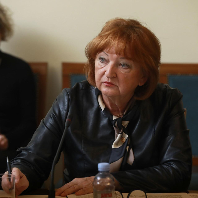 Na posebnoj sjednici saborskog Odbora za pravosuđe o Agrokoru sazvanoj nakon što je Ivica Todorić pokrenuo arbitražu u Washingtonu tadašnja glavna državna odvjetnica Zlata Hrvoj Šipek prvi je put potvrdila kako se Todorićev odštetni zahtjev mjeri u milijardama eura. 