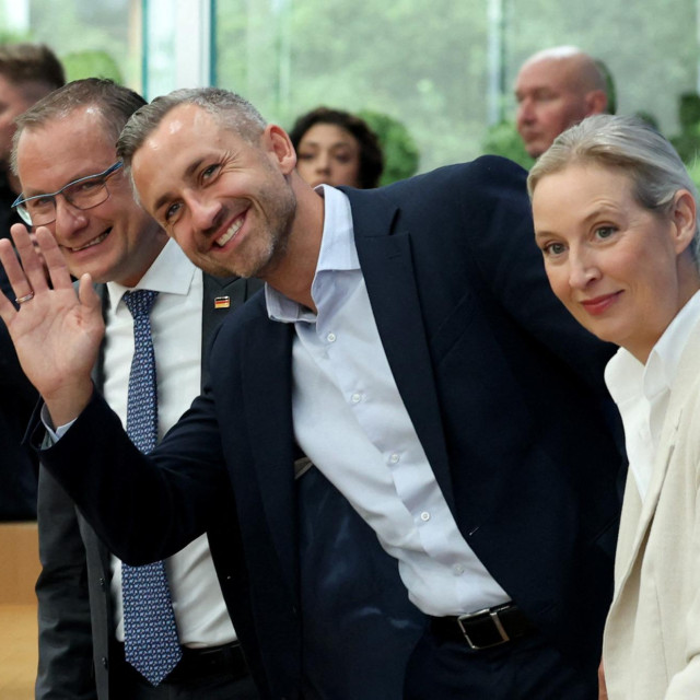 Ulrich Siegmund, Alice Weidel