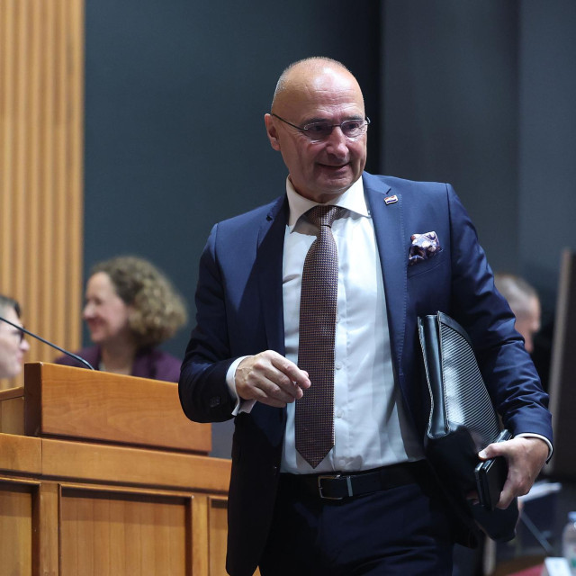 Gordan Grlić Radman