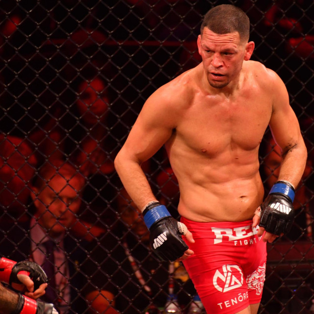 Mike Perry i Nate Diaz
