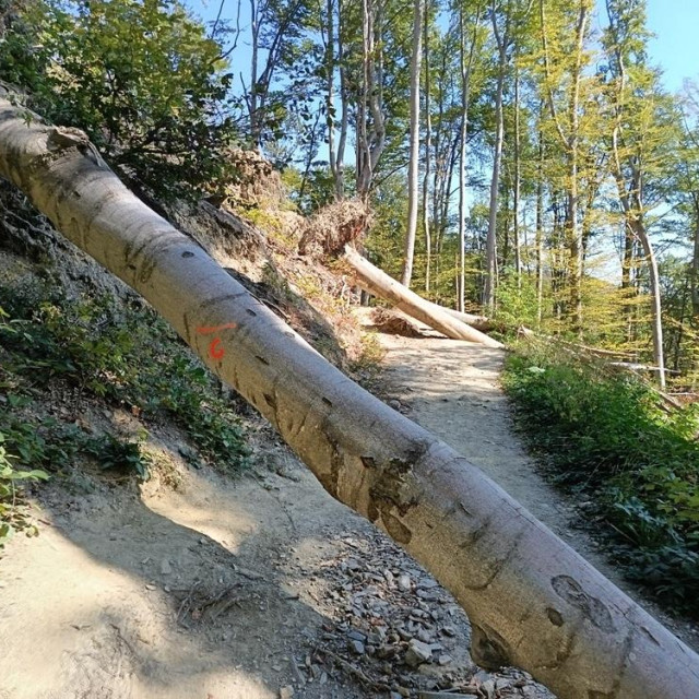 Sanacija Leustekove staze na Medvednici