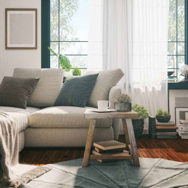 Picture of a domestic sofa in the living room. Render image.