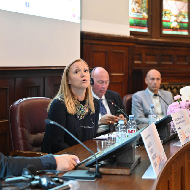 Panel-rasprava o europskom i međunarodnom kontekstu
 