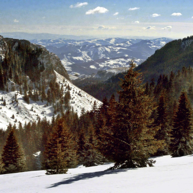 Kopaonik (ilustracija)