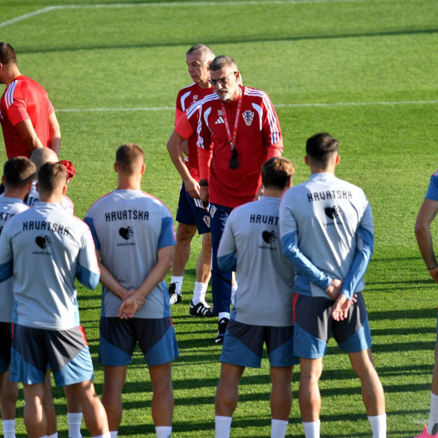 Slaven Bilić i hrvatski reprezentativci