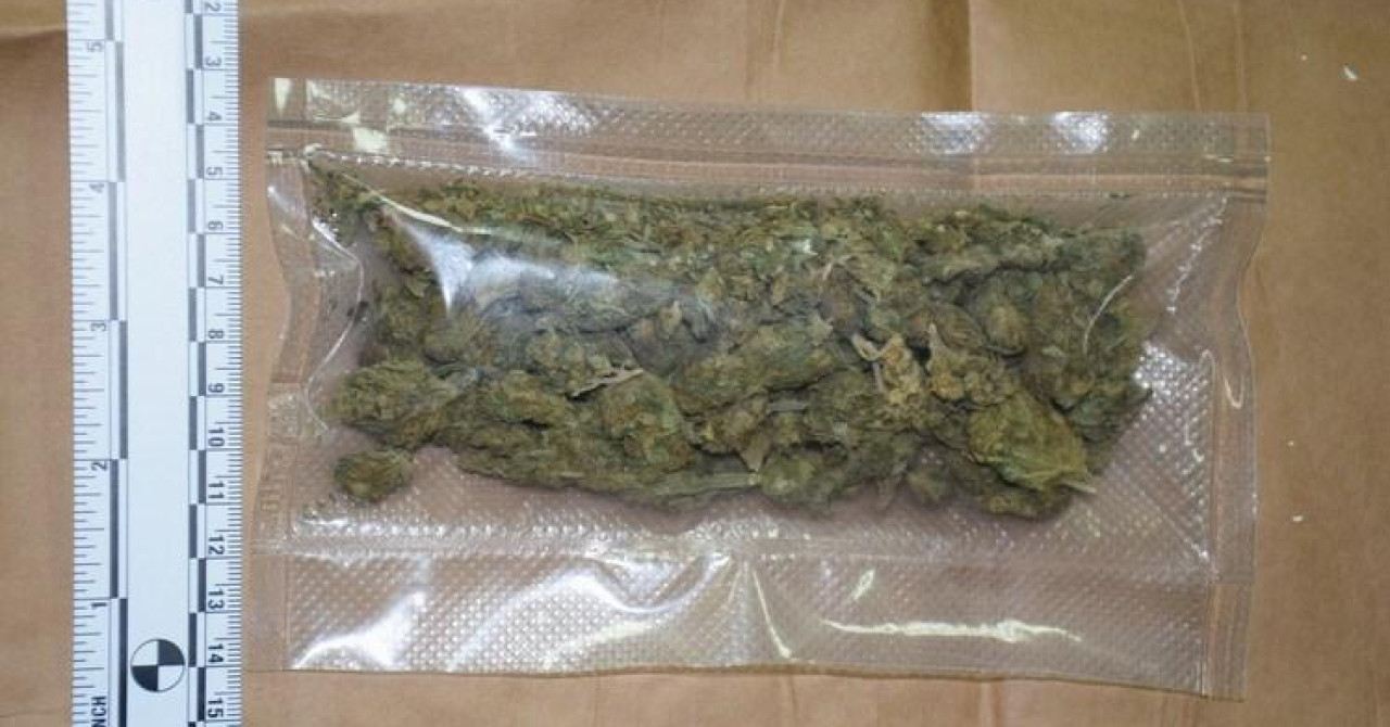 Na A1 kod Vrgorca zaplijenjeno gotovo 14 kilograma marihuane