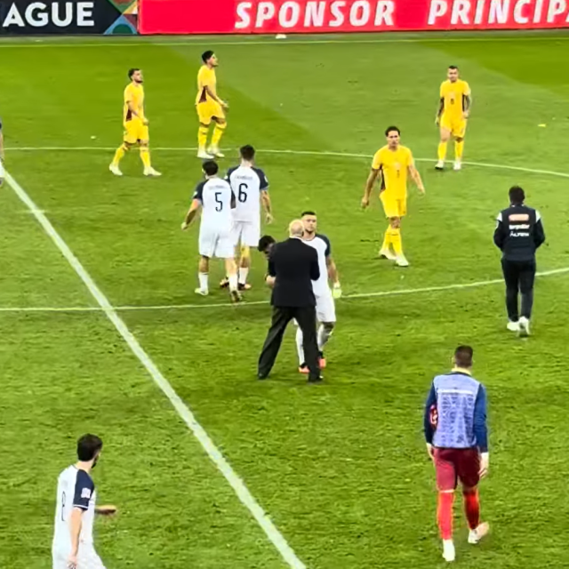 Rumunjska - BiH: Sergej Barbarez tješi Ermedina Demirovića