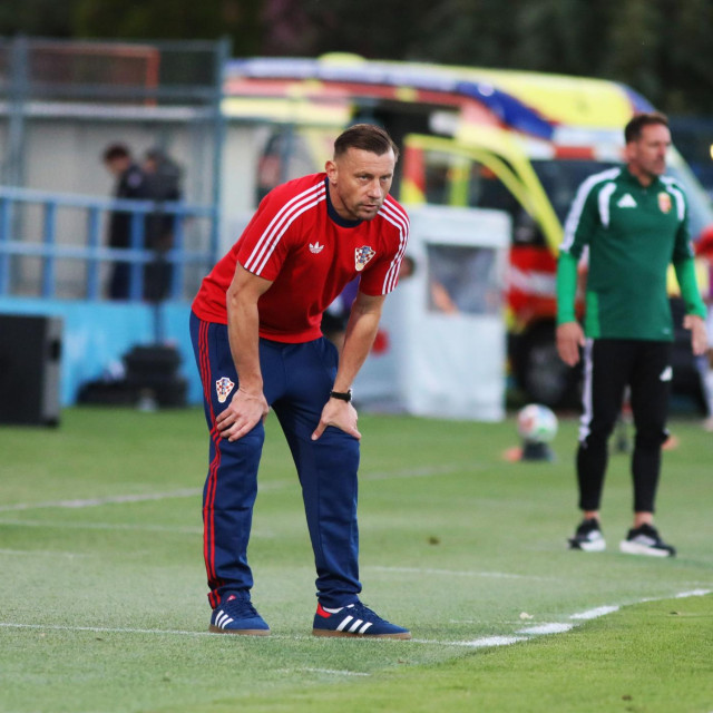 Izbornik Ivica Olić