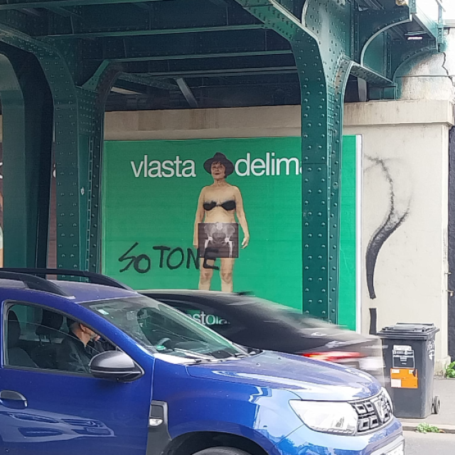 Vlasta Delimar