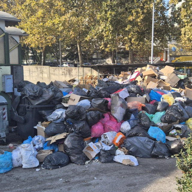 Otpad na privatnoj Tržnici Dubrava prije odvoza