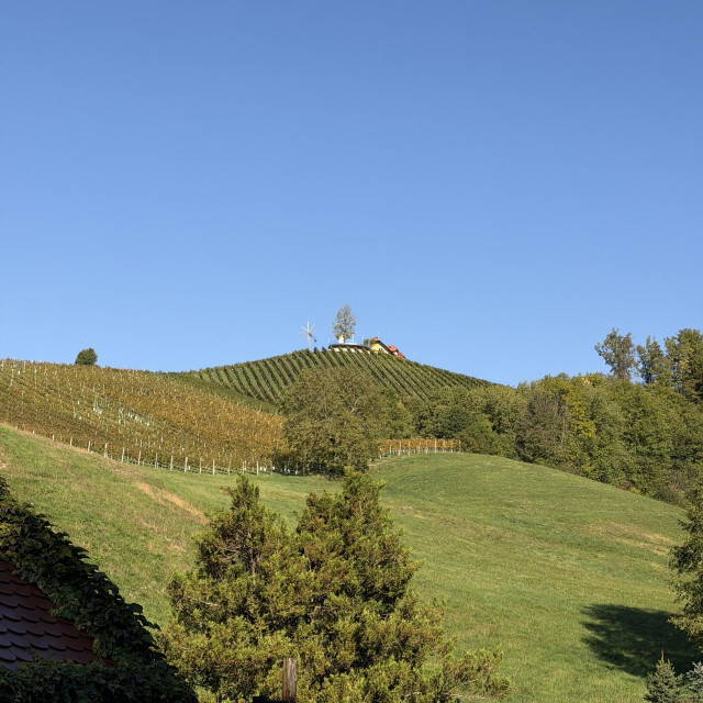 Vinogradi u Štajerskoj