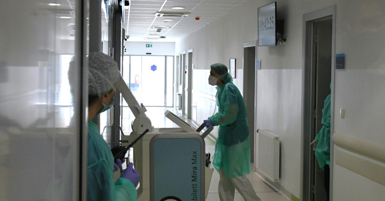 U Primorsko-goranskoj županiji broj slučajeva zaraze salmonelom iznenada se utrostručio