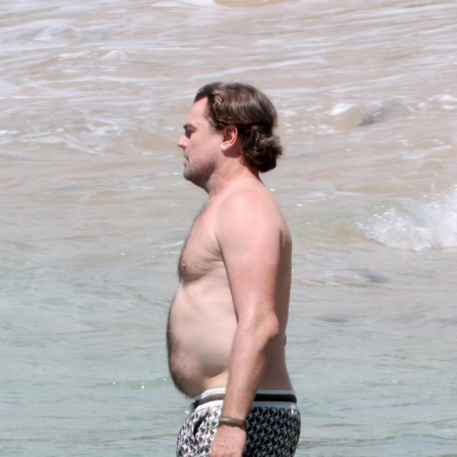 Leonardo DiCaprio