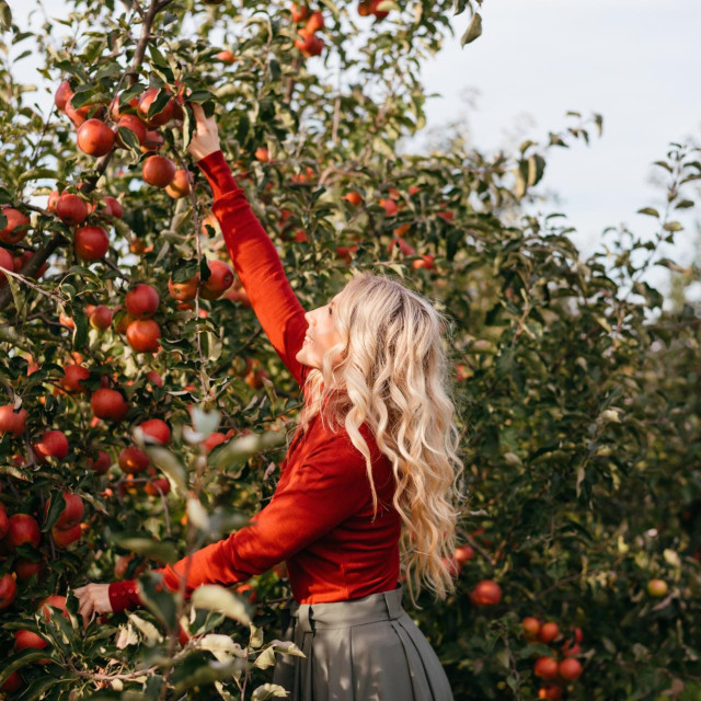 39766071