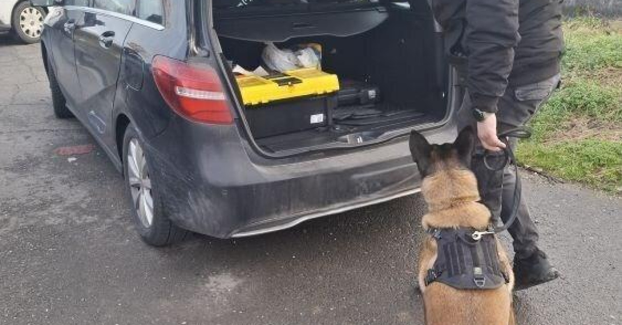 Rea se ukopala na mjestu ispred vozila automehaničara iz Skradina: ‘Tri i pol godine zatvora? Može‘