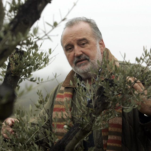 Mirko Cetinski