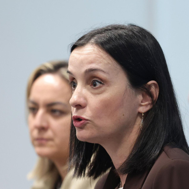 I nakon što je propao drugi natječaj za odvoz i zbrinjavanje 4500 tona opasnog otpada iz Gospića, i dalje, tvrdi ministrica Vučković, postoje tvrtke koje mogu odraditi taj posao
