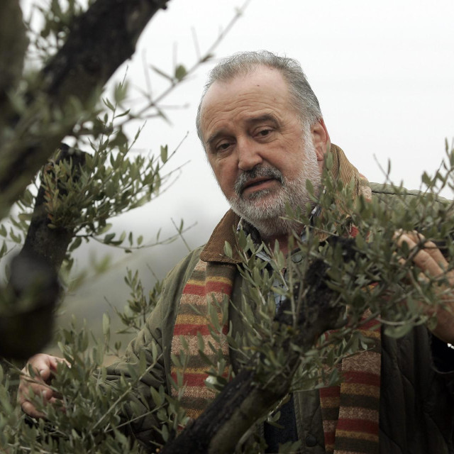 Mirko Cetinski