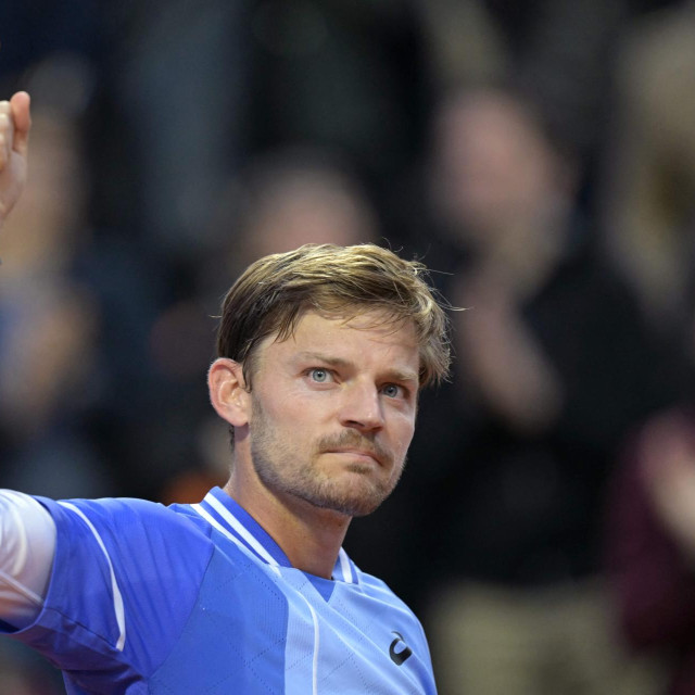 David Goffin 