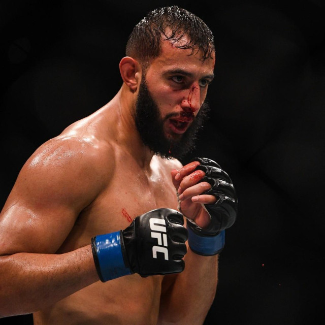 Dominick Reyes